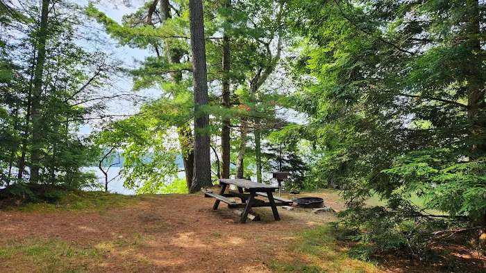 Tioga Point Campground Picture 8