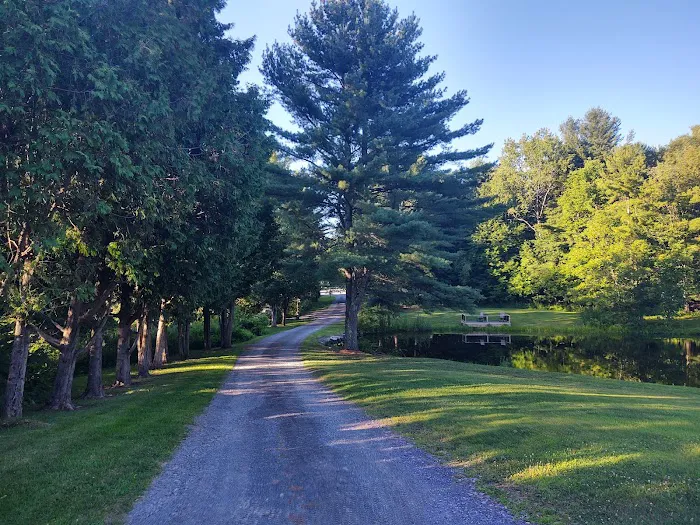 Aurora B's Family Campground Picture 8
