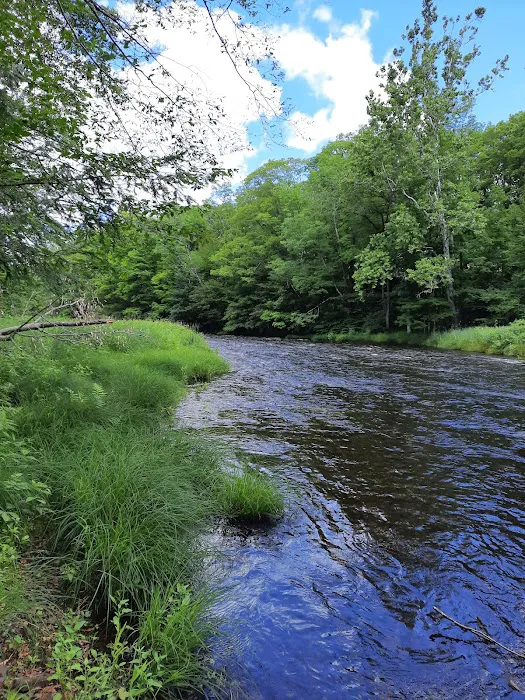 Brown's Campground Picture 7