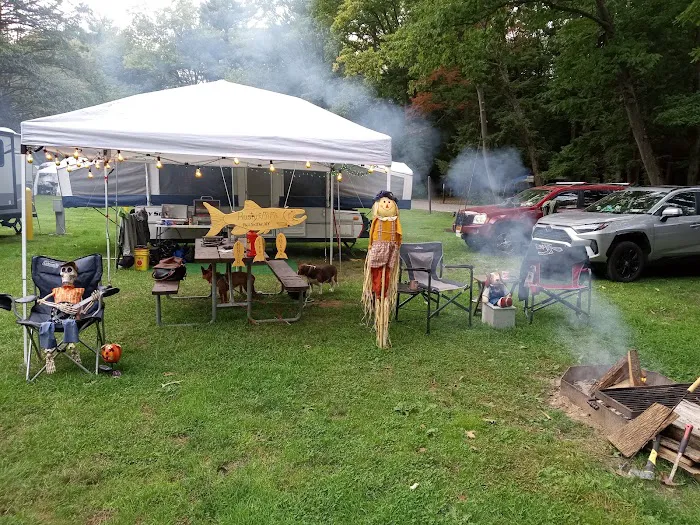 Brown's Campground Picture 10