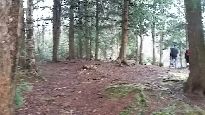 Hall Island Picture 5