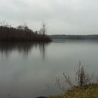 Hall Island ico