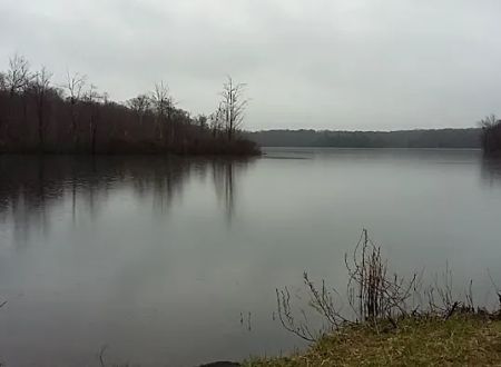 Hall Island