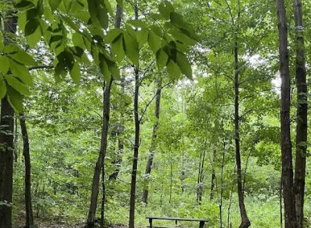 Allred Acres