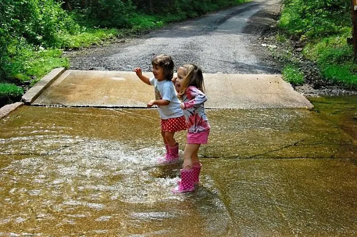 Shady Brook Campground & Boat Rental, LLC Picture 7
