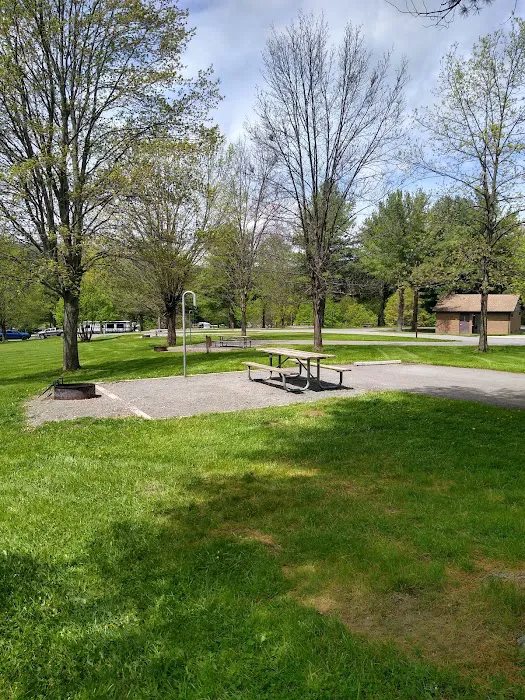 Ives Run Campground Picture 8