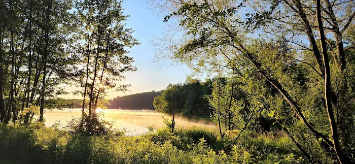 Ives Run Campground Picture 5