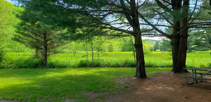 Hoffman Campground Picture 9