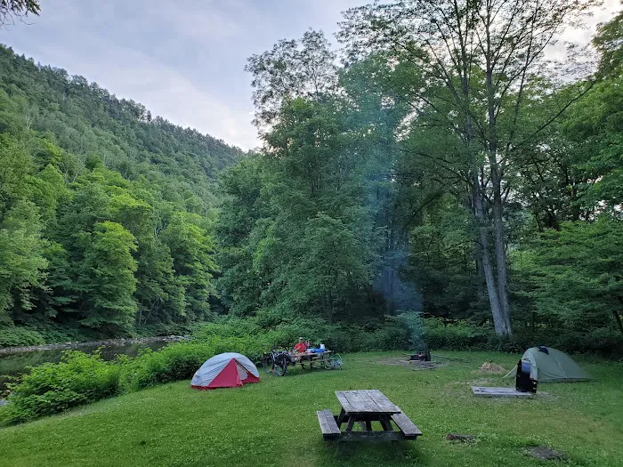 Tiadaghton Campground Picture 5