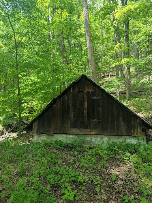 Tiadaghton Campground Picture 1