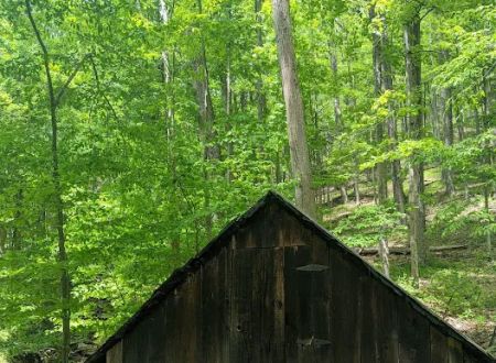 Tiadaghton Campground