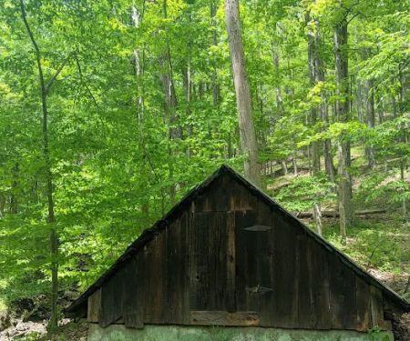 Tiadaghton Campground