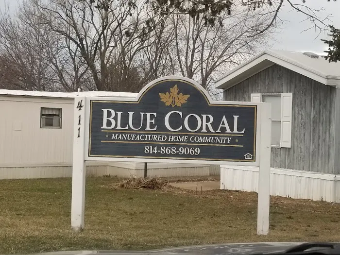 Blue Coral Picture 1
