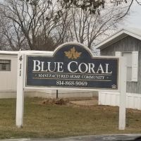 Blue Coral ico