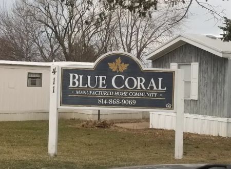 Blue Coral