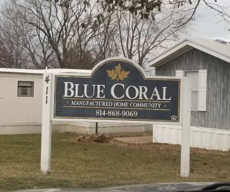 Blue Coral