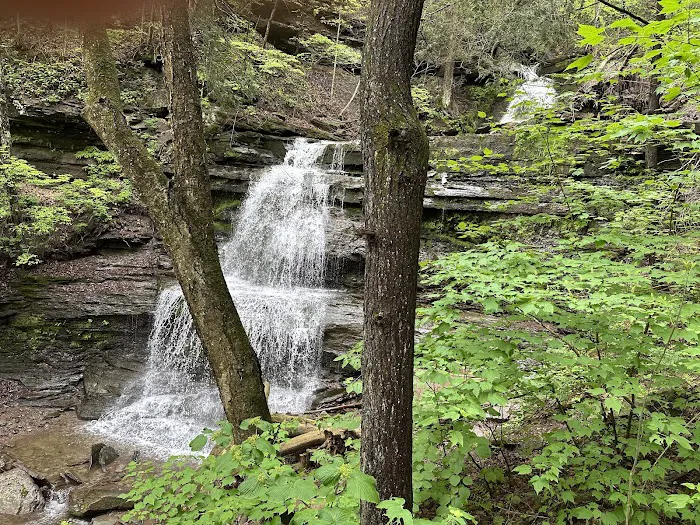 Leonard Harrison campground Picture 5
