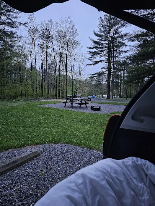 Leonard Harrison campground Picture 10