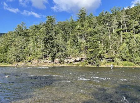 Tomb Flats Campground