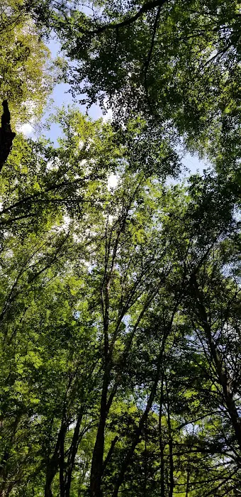Tomb Flats Campground Picture 8