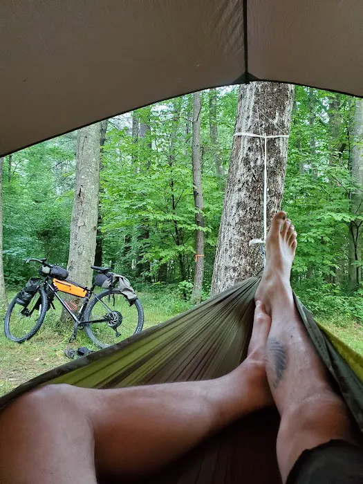 Black Walnut Bottom Campground Picture 6