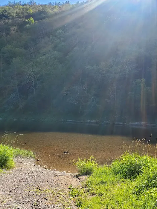 Black Walnut Bottom Campground Picture 8