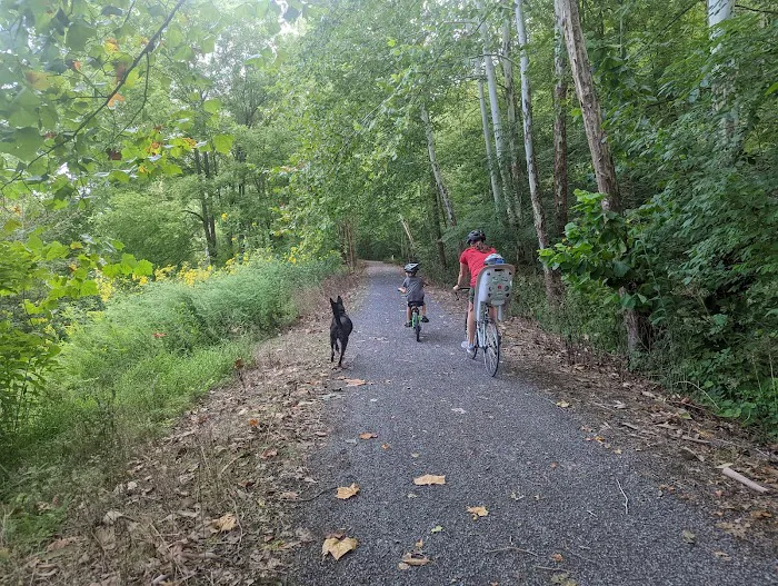Black Walnut Bottom Campground Picture 10