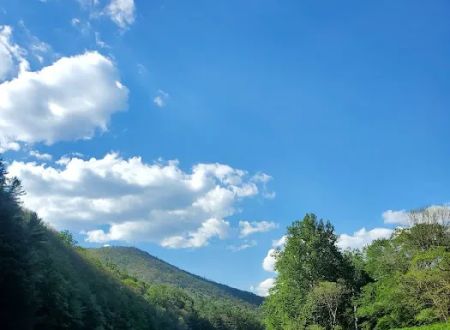 Black Walnut Bottom Campground