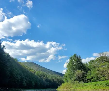 Black Walnut Bottom Campground