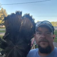 Black Forest Campground, LLC ico