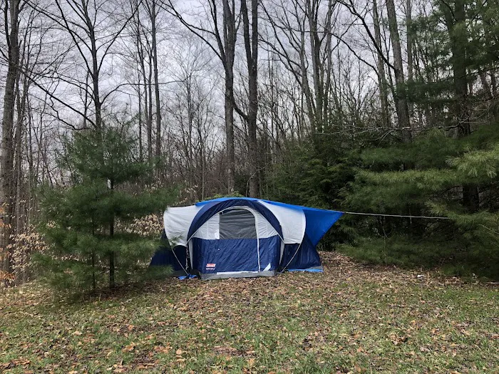 Rauch Road Gas Well Campsite Picture 3