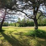 Green Acres Glampground