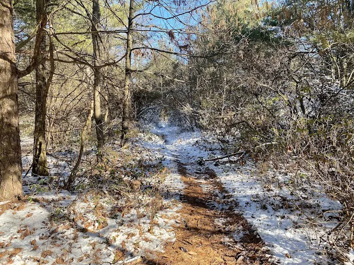 Hemlock Acres Campground Picture 10