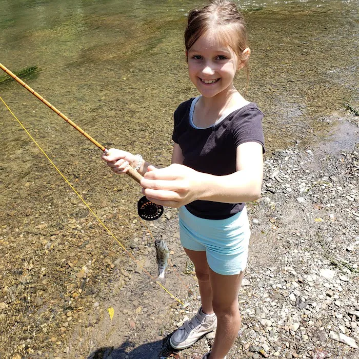 Hemlock Acres Campground Picture 5