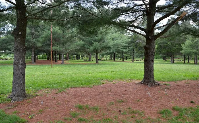 McMillan Woods Youth Campground Picture 8