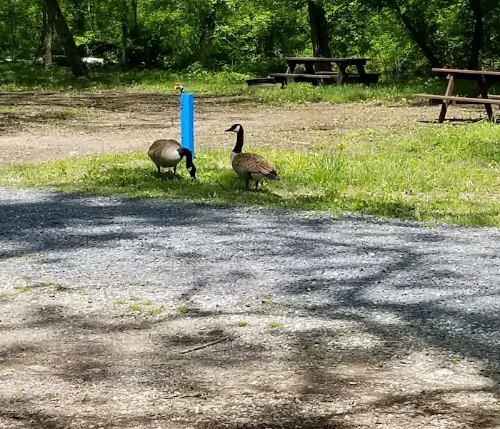 Gettysburg Campground Picture 5
