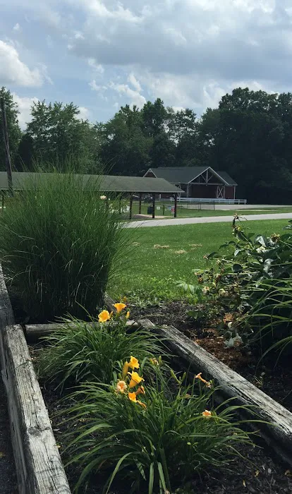 Granite Hill Camping Resort Picture 5
