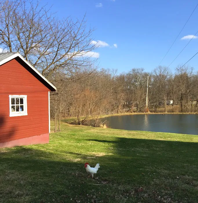 Granite Hill Camping Resort Picture 7
