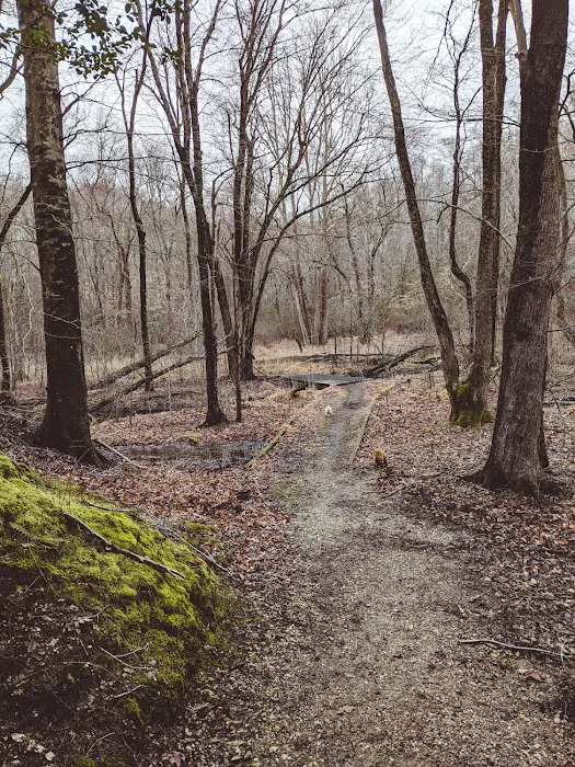 Patuxent River Park - Pavilion and Camp Ground Picture 6