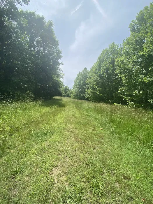 Milltown Landing Campsite Picture 1