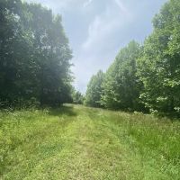 Milltown Landing Campsite ico