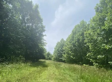 Milltown Landing Campsite