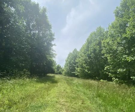 Milltown Landing Campsite