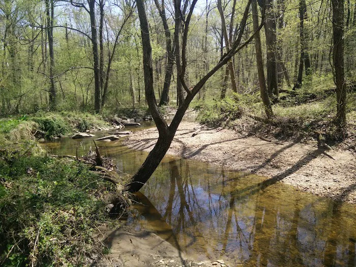 Robert C McDonell Campground Picture 7