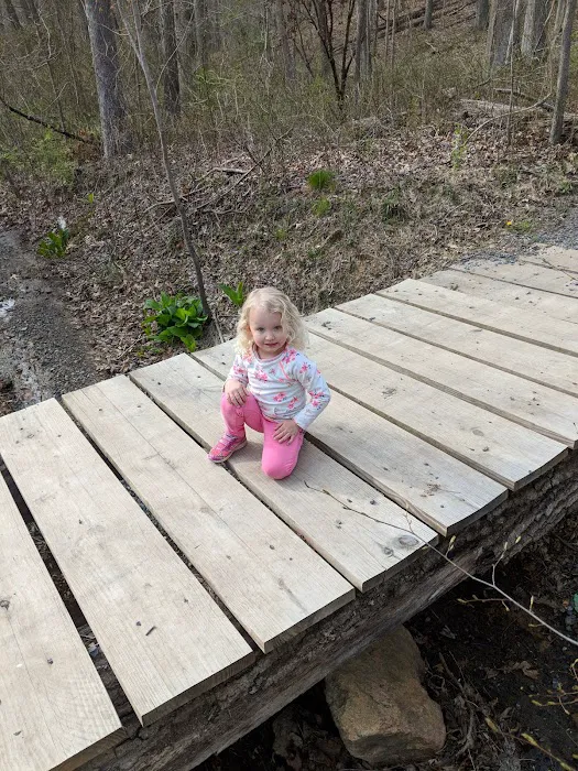 Robert C McDonell Campground Picture 8