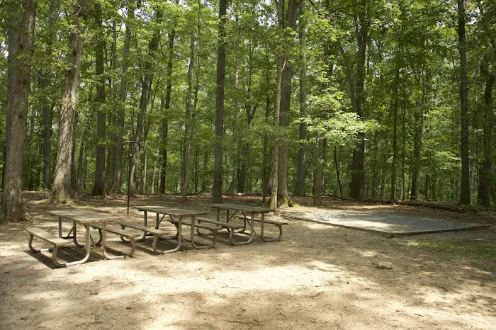Robert C McDonell Campground Picture 10