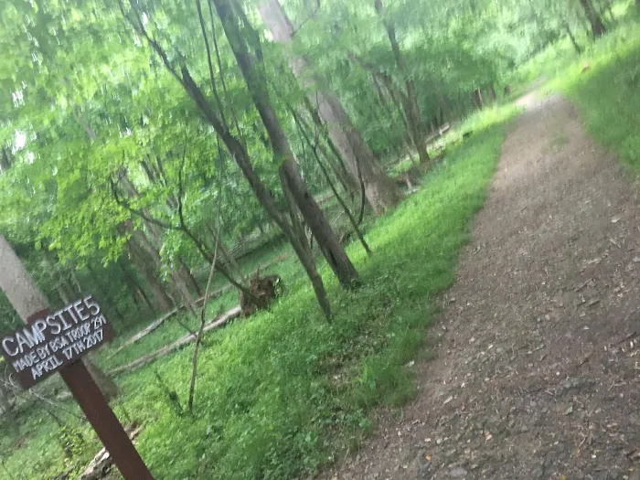 Marsden Tract Group Campground Picture 8
