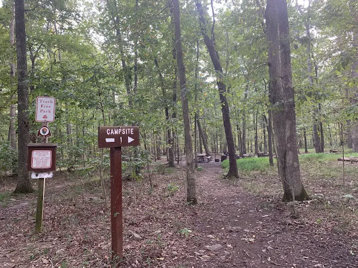 Marsden Tract Group Campground Picture 5