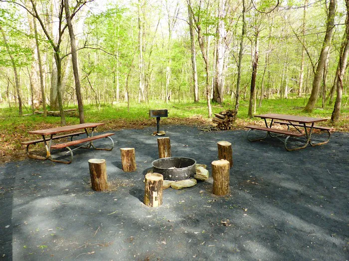 Marsden Tract Group Campground Picture 2