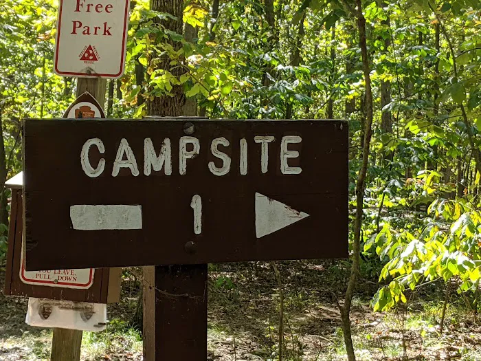 Marsden Tract Group Campground Picture 9